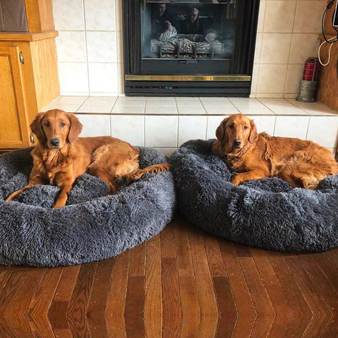 Cuccia Morbida per Cani Anziani