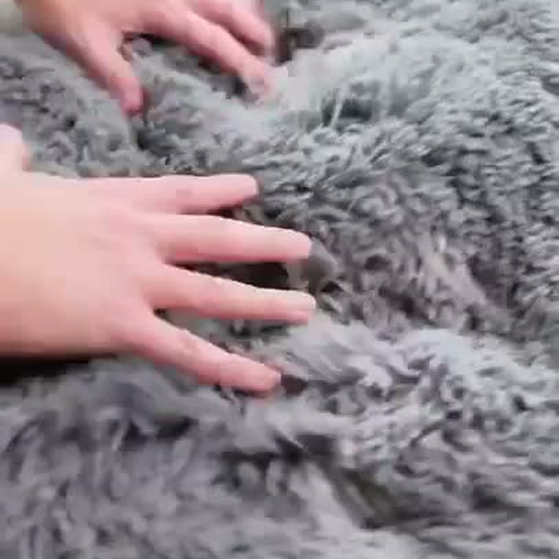 Cuccia Morbida per Cani Anziani