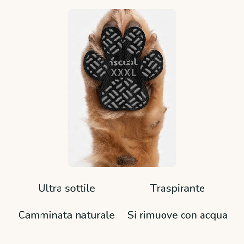 Cuscinetto PassoFido: ultra sottile, traspirante, si rimuove con acqua