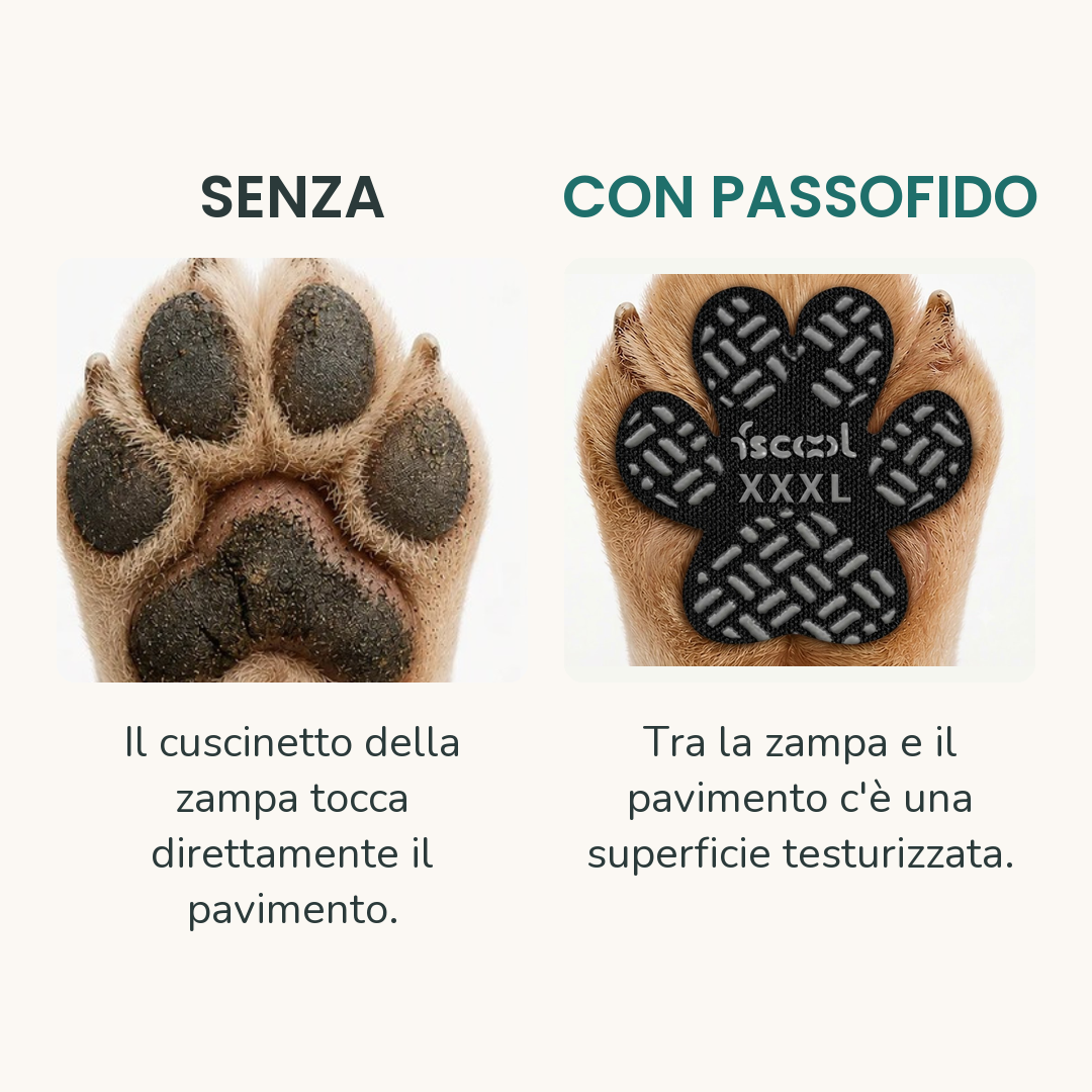 Confronto: zampa senza e con cuscinetto PassoFido