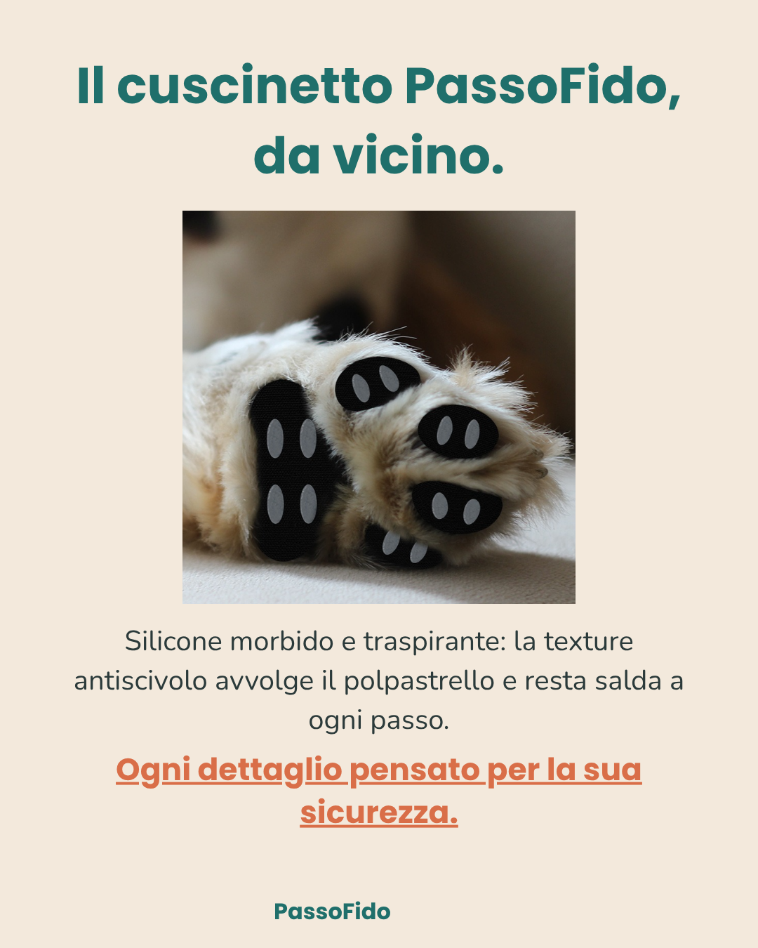 Cuscinetti Antiscivolo per Cani Anziani