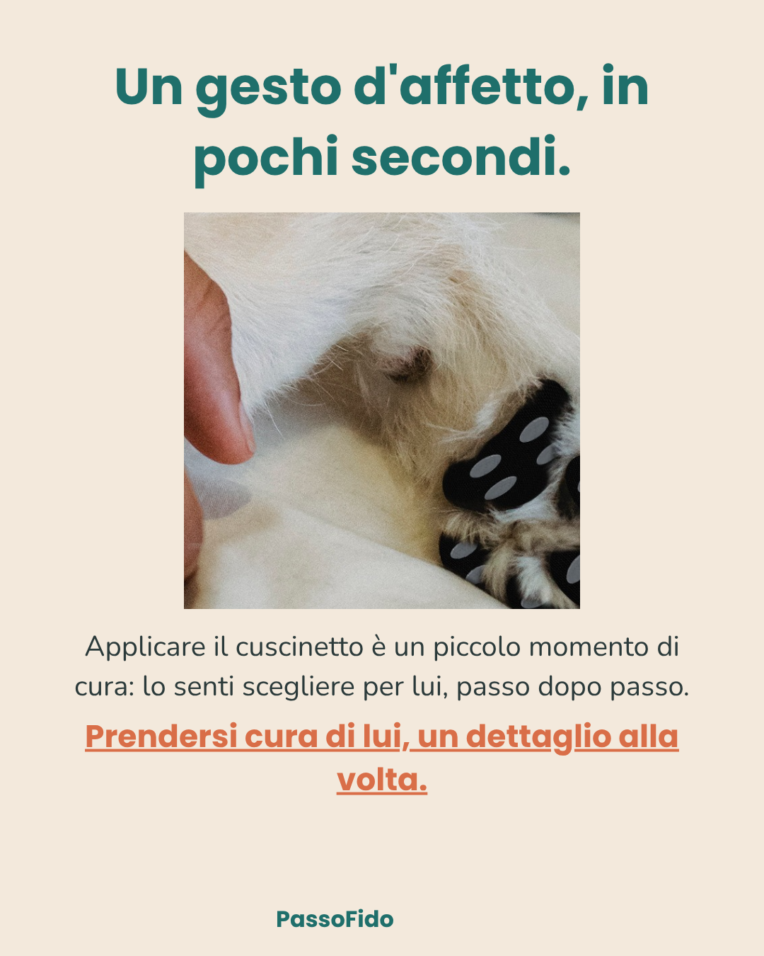 Cuscinetti Antiscivolo per Cani Anziani